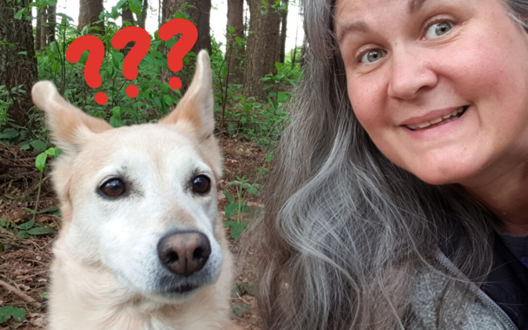 12 von 12 im Mai 2022 – Die Eisheiligen? Kann man das essen?