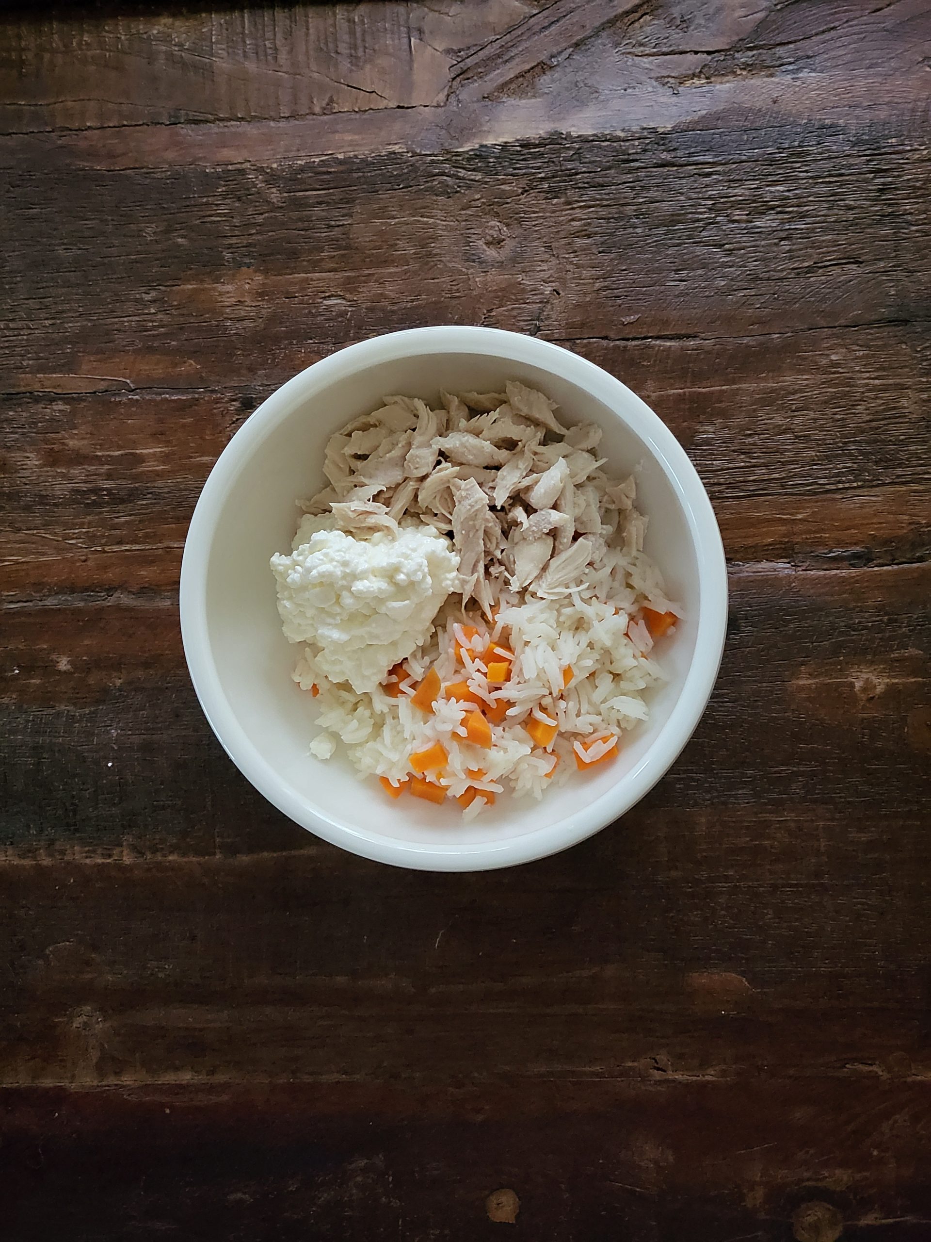 Wenn der Hundemagen streikt – Schonkost für Hunde – Ein einfaches Rezept