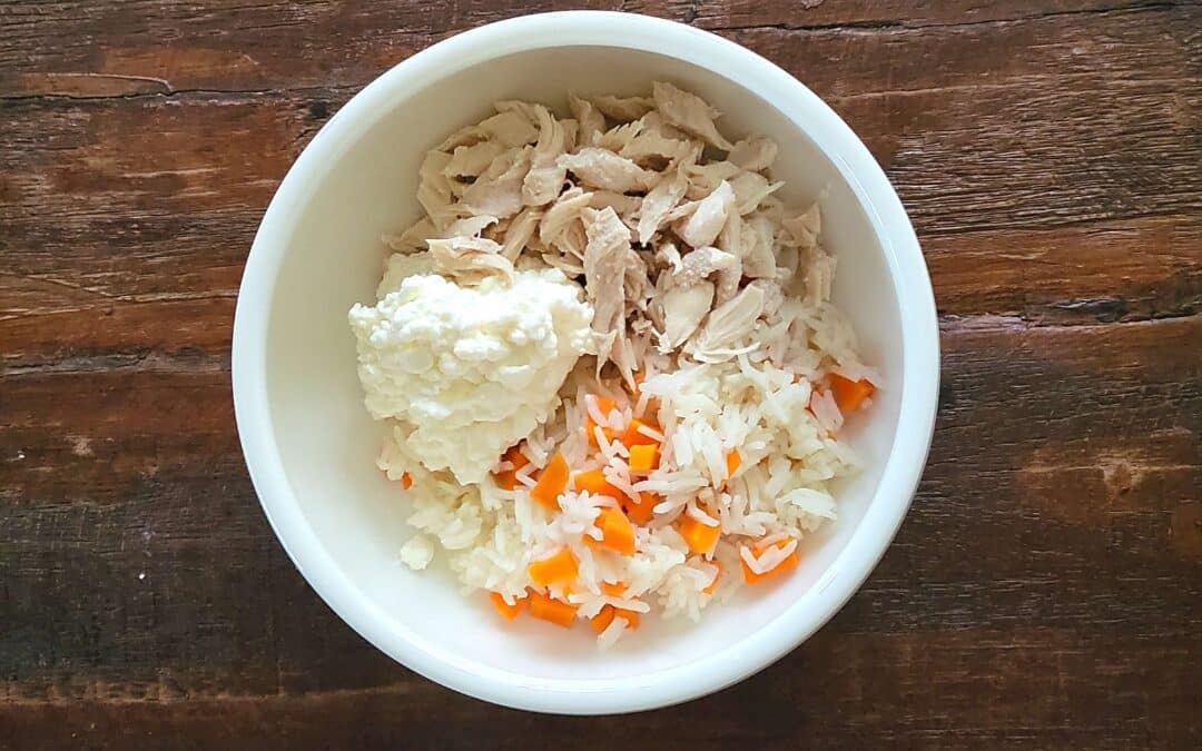 Wenn der Hundemagen streikt – Schonkost für Hunde – Ein einfaches Rezept