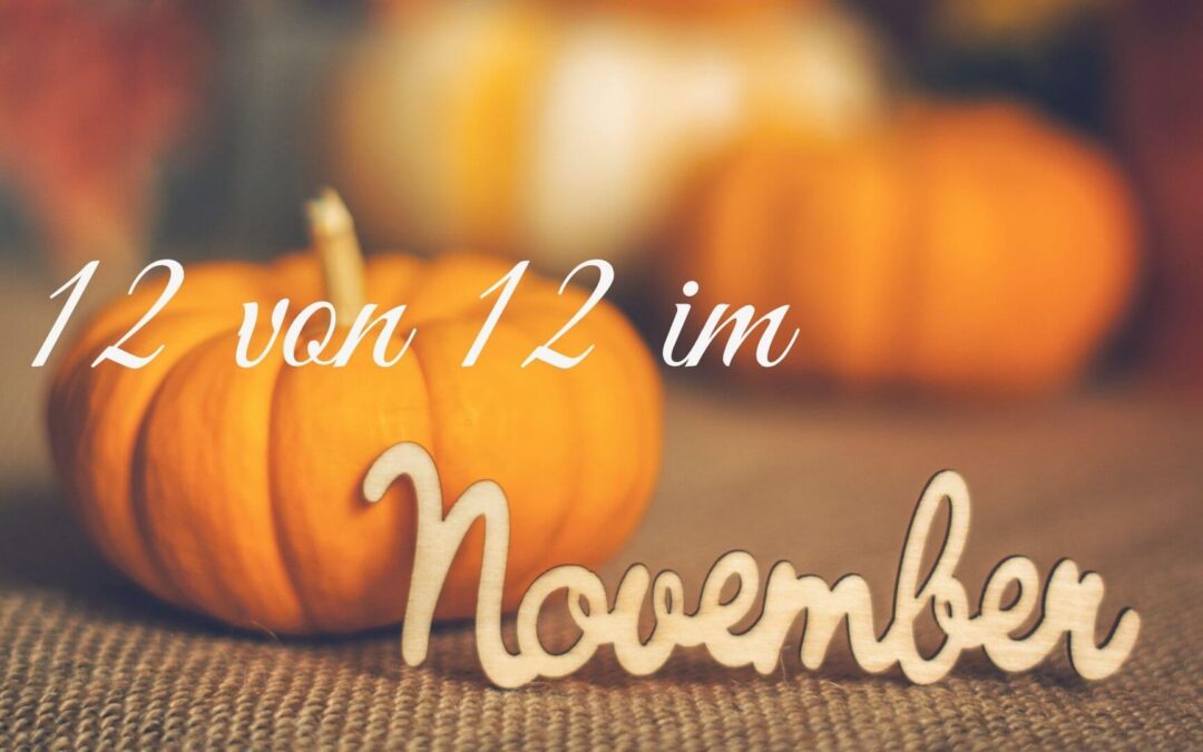 12 von 12 im November 2021 – der Tag der Buchparty