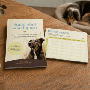 Stabil statt ständig neu – Dein 4-Wochen-Plan für einen entspannten Hundedarm