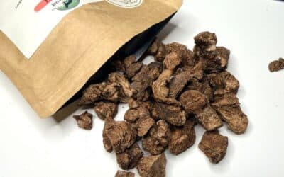 Monoprotein Leckerli im Test: Hirsch PUR von WildFrost für sensible Hunde